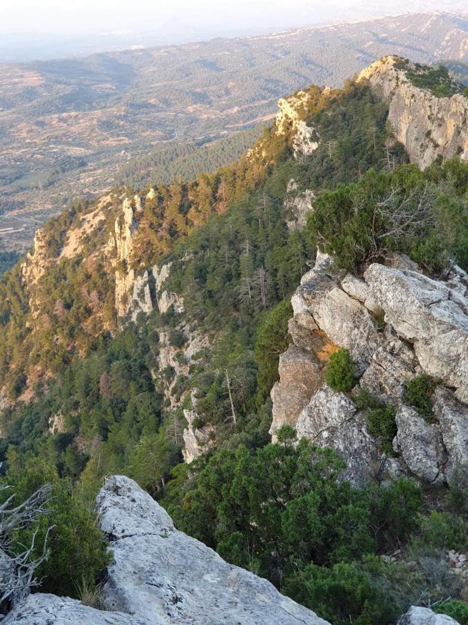 Ca La Mati Διαμέρισμα Beceite Εξωτερικό φωτογραφία