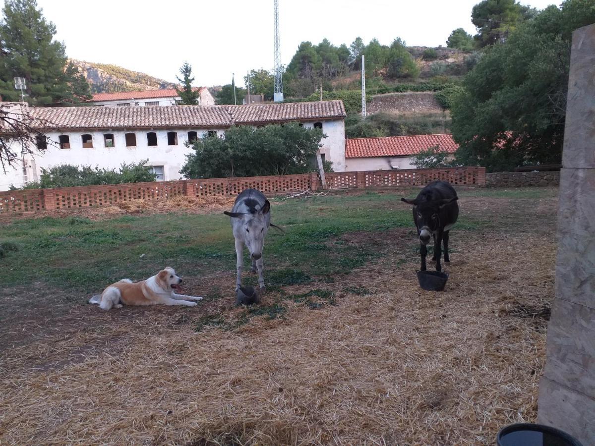 Ca La Mati Διαμέρισμα Beceite Εξωτερικό φωτογραφία